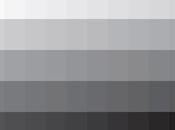 [weel-end color] shades Grey