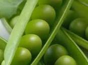 Piselli semi finocchio