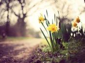 Aspettando primavera 2015