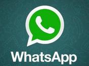 WhatsApp Beta: arriva versione 2.11.536