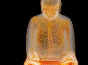 Misteriosa mummia monaco buddista celata all'interno statua Buddha