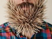 Will Beard: qualcosa nella barba