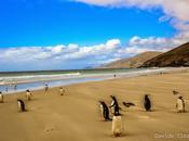 Visitare Isole Falkland: intervista Barbara