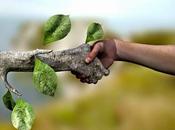 nostro libro delle azioni