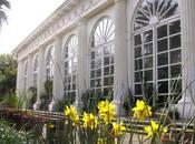 Real Orto Botanico Napoli. Apertura straordinaria marzo