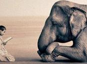 miti sfatare sugli introversi