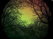 FOREST MIGHTY BLACK, Forest Mighty Black