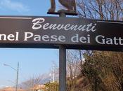 paese gatti