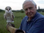 Alla conquista cieli Wild David Attenborough