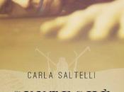 Recensione "Synteché volo della falena" Carla Saltelli