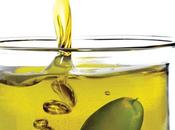 L'Università degli Studi Bari attiva corso assaggiatori oliva vergini.