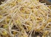 Riso tofu germogli soia