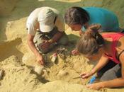 Micenei Peloponneso, scoperte delle sepolture