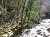 Lieux solitaires sorcière l'intérieur moulin abandonné