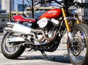 Harley Sportster 1200 Tracker Crazy Garage