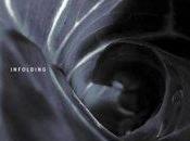 Spin Marvel Infolding