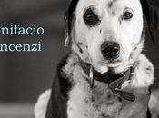 [Segnalazione] Testimone cane altri racconti, Bonifacio Vincenzi