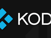 Kodi approda Play Store versione alpha beta