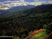 Bayerischerwald natura, benessere buon cibo (anche glutenfree)