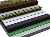 Coperture verde sughero