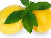 Insalata menta limone