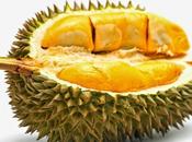 Durian benefico superfrutto Odia