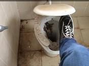 Degrado Campoleone Scalo? Solo dicerie...