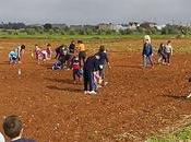 Fantastica esperienza soprattutto piccoli tornati casa stanchi soddisfatti lavoro svolto