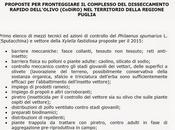 FEDERAZIONE ITALIANA AGRICOLTURA BIOLOGICA BIODINAMICA PROPOSTE FRONTEGGIARE COMPLESSO DISSECCAMENTO RAPIDO DELL'OLIVO (CoDiRO) TERRITORIO DELLA REGIONE PUGLIA