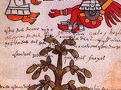 cioccolato [Infografica].