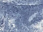 Buoni motivi cucinare l'acqua frizzante