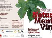 Aspettando NaturaMenteVino