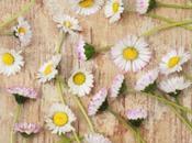DIY: daisy bracelet