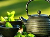 Tisane: metodi applicazione parte prima