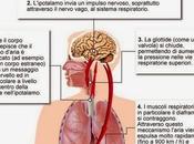 Respirare morte