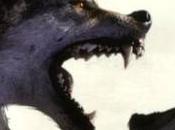 Avere vent’anni: aprile 1995