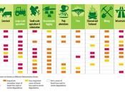WWF: regioni l’80 cento della deforestazione mondiale