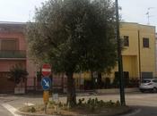 Osservazioni SP10 SP362 Cesario Lecce maggio 2015