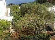 Osservazioni maggio 2015. SS16 dallo svincolo Cesario Cavallino all‘incrocio Maglie; SS275 Maglie sino Montesano Salentino; SP85 Castiglione d’Otranto; SP178 Tricase SP335 Porto