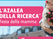 Festa della mamma 2015, regala l’azalea ricerca