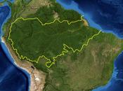 Amazzonia: storia battaglia infinita