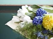 Finalmente…la Primavera!
