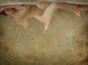 Metamorfosi Scene precariato lavorativo