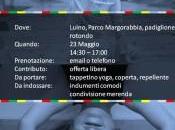 Luino-Yoga: sabato maggio dalle 14.30 Michael Steinroetter incontra giovani Parco Margorabbia