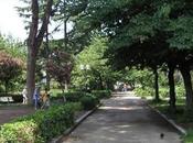 Chiude Parco Bottazzi, spazio verde meno cittadini