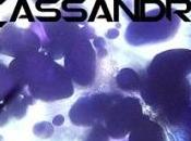 Recensioni “Progetto Cassandra” Giovanni Cattaneo