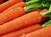 Succhi verdure: carote goji