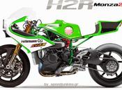 Racing Concepts Kawasaki Monza24 SpeedJunkies