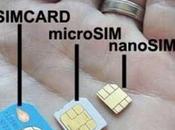 H815 quale Scheda telefonica serve Nano Micro