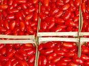 Spaghetti pomodoro basilico